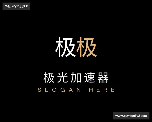 了解极光加速器